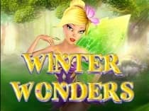 Winter Wonders